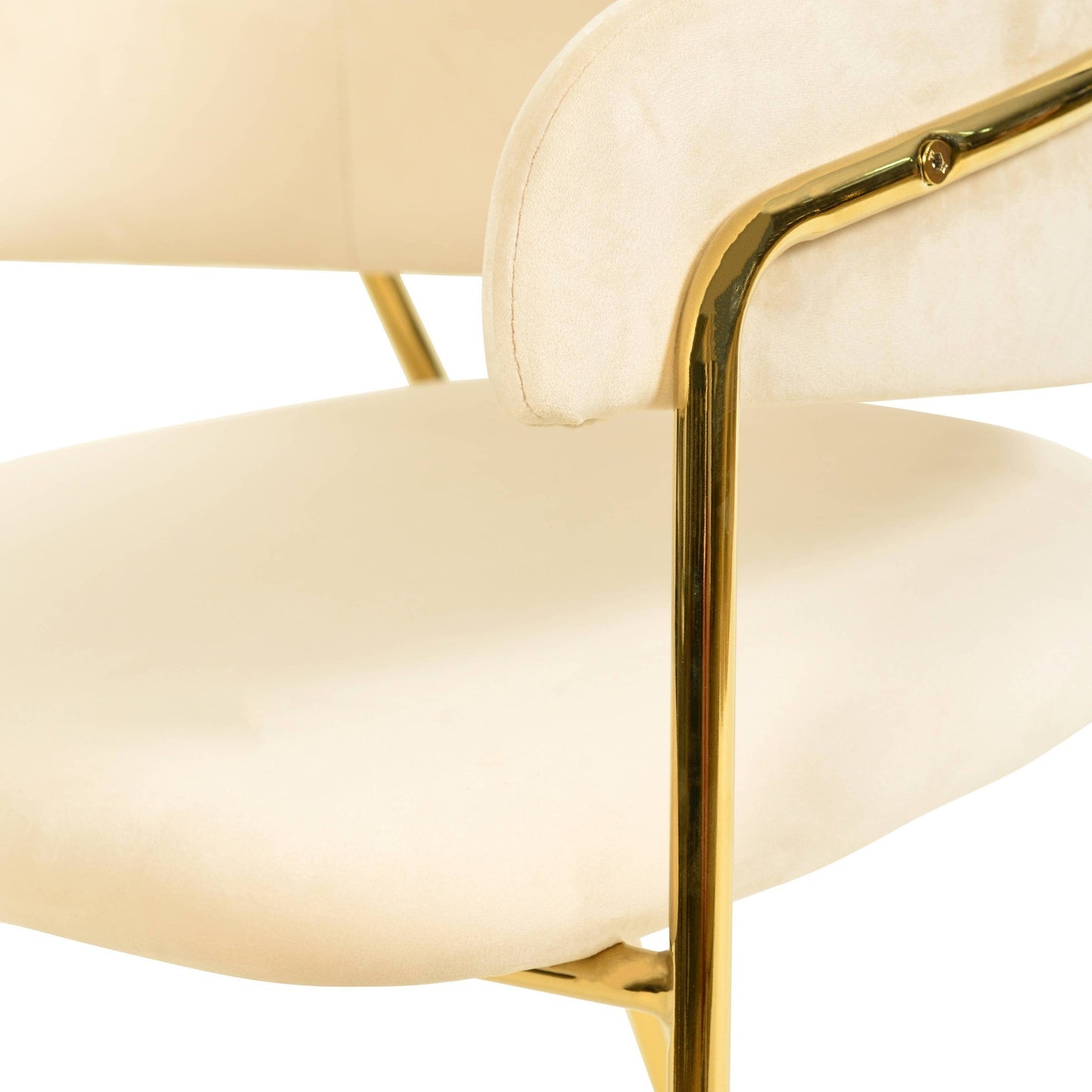 Axis Upholstered Dining Chairs Curved Open-Back & Gold Legs Set of 2