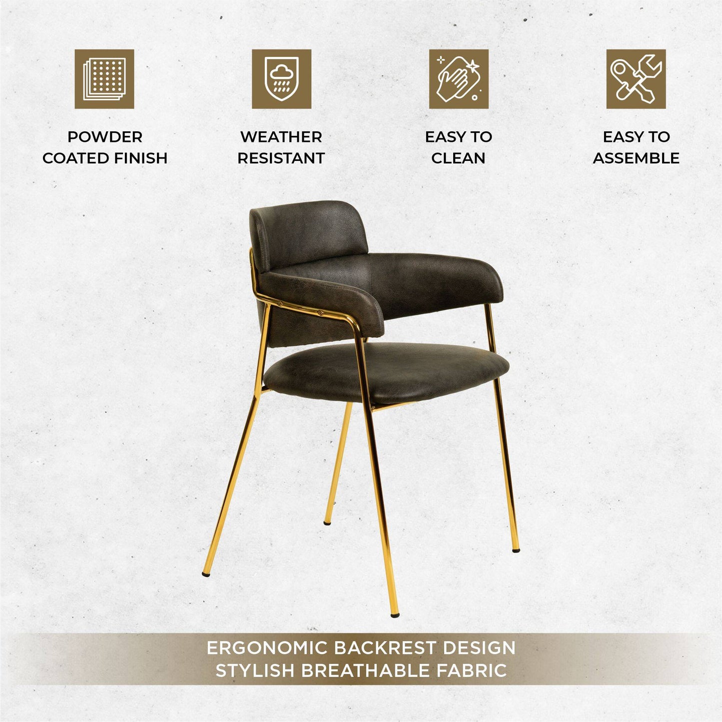 Axis Upholstered Dining Chairs Curved Open-Back & Gold Legs Set of 2
