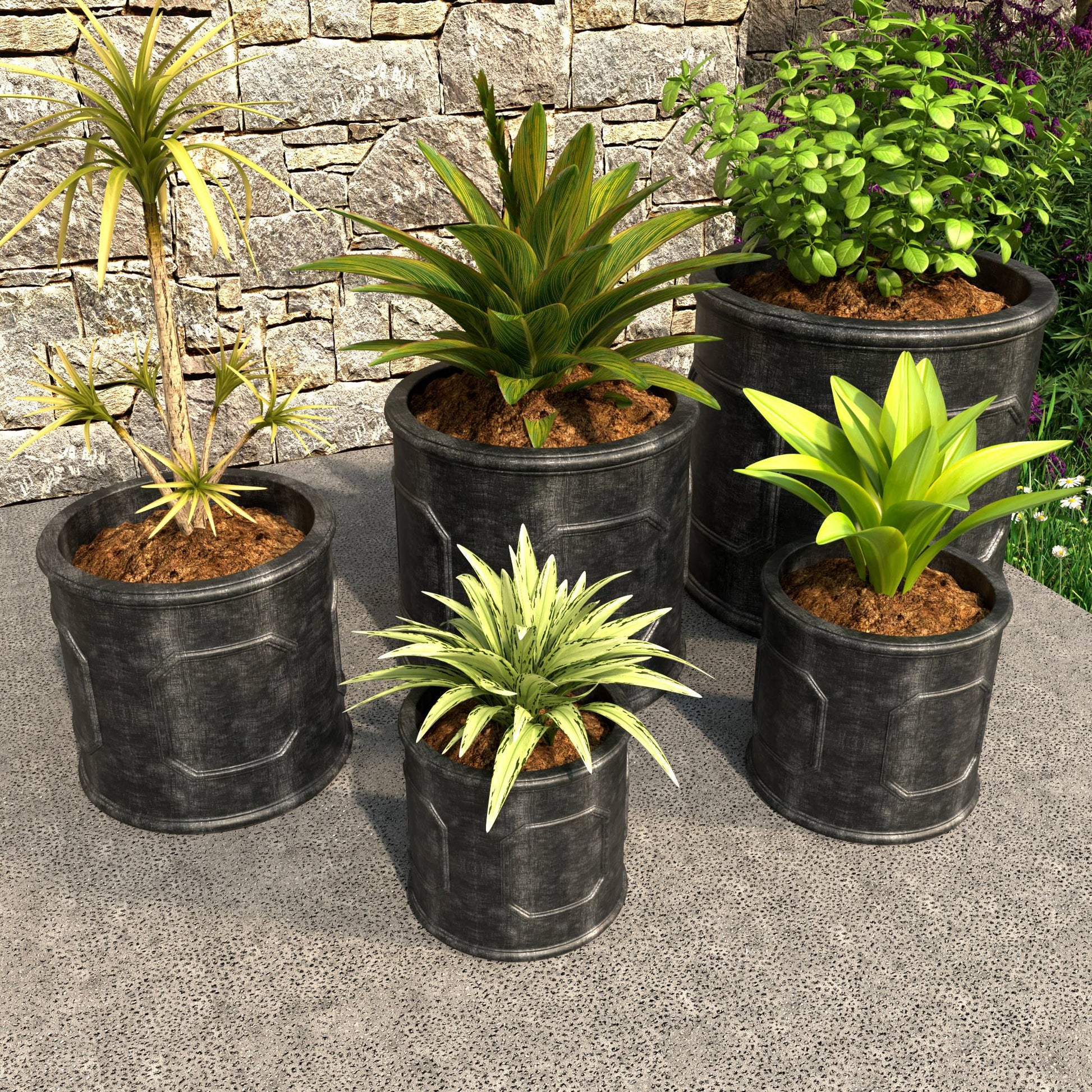 MP11-13-15-18-22BL_2